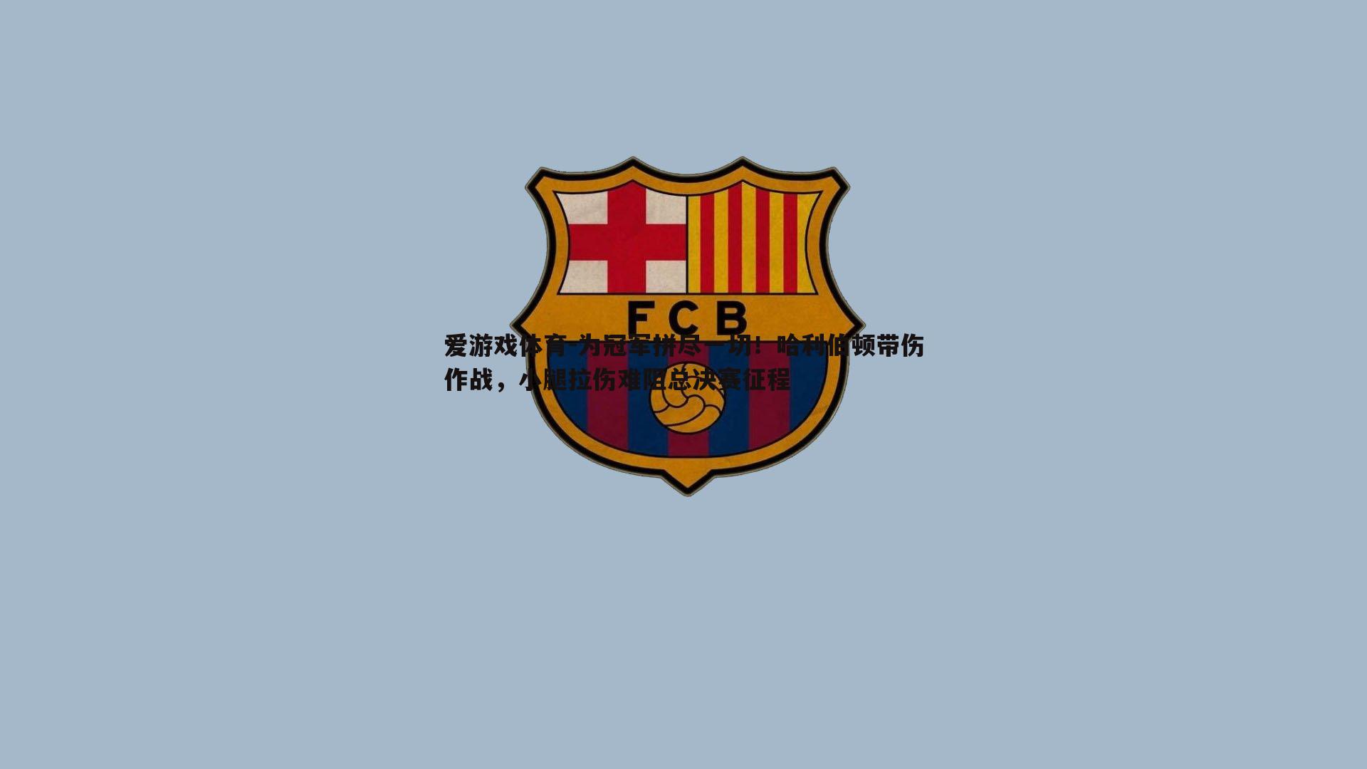 为冠军拼尽一切！哈利伯顿带伤作战，小腿拉伤难阻总决赛征程